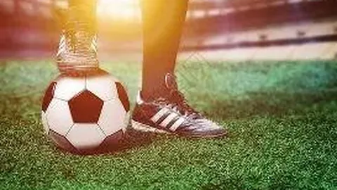 宝威体育 产品 111110 hts